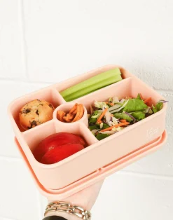 Lunch Packing|The Somewhere Co Blush Large Silicone Bento Lunch Box